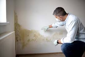 Best Asbestos and Lead Testing During Mold Inspection  in Chicago Ridge, IL